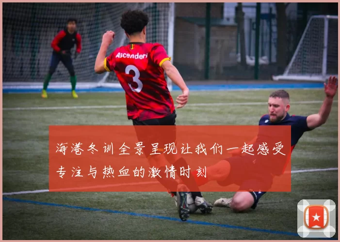 海港冬训全景呈现让我们一起感受专注与热血的激情时刻
